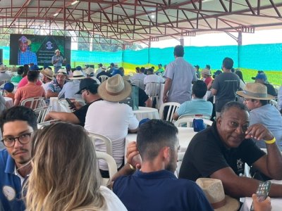 2º Movimento Coffee Brazil: a revolução da cafeicultura técnica