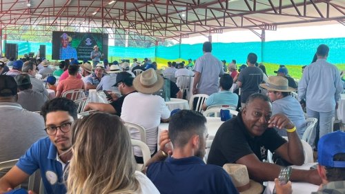 2º Movimento Coffee Brazil: a revolução da cafeicultura técnica