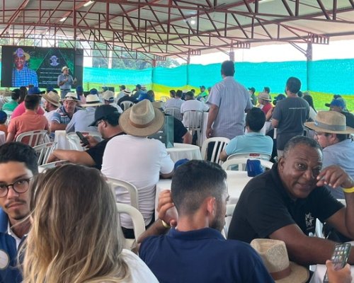 2º Movimento Coffee Brazil: a revolução da cafeicultura técnica