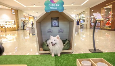 RibeirãoShopping traz ao empreendimento o “cãocierge” para apresentar novidades e dar dicas aos frequentadores