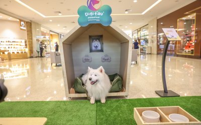 RibeirãoShopping traz ao empreendimento o “cãocierge” para apresentar novidades e dar dicas aos frequentadores