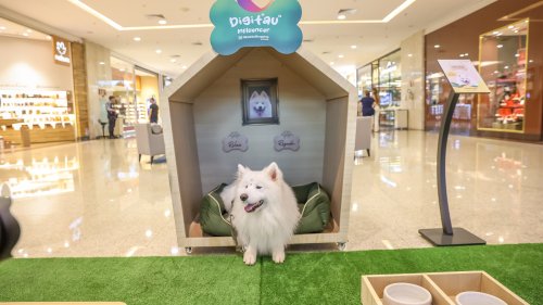 RibeirãoShopping traz ao empreendimento o “cãocierge” para apresentar novidades e dar dicas aos frequentadores