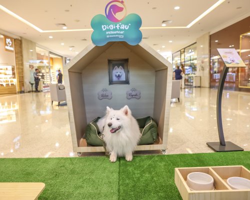 RibeirãoShopping traz ao empreendimento o “cãocierge” para apresentar novidades e dar dicas aos frequentadores