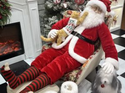 Casa Pavão inaugura loja-conceito em Ribeirão Preto com decoração premium e experiência sensorial