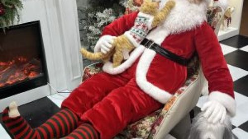 Casa Pavão inaugura loja-conceito em Ribeirão Preto com decoração premium e experiência sensorial