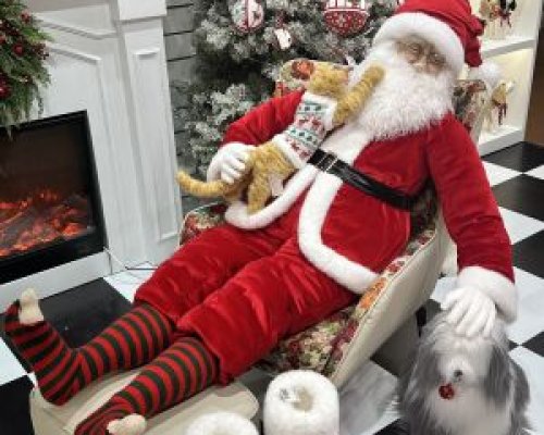 Casa Pavão inaugura loja-conceito em Ribeirão Preto com decoração premium e experiência sensorial