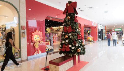Projeto Árvores Solidárias do RibeirãoShopping arrecada presentes de Natal para crianças, idosas e pets
