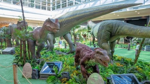Férias escolares no RibeirãoShopping têm exposição de dinossauros, parque indoor e estreias como Jurassic World e Superman