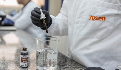 Gestação exige atenção à nutrição e ao aproveitamento dos nutrientes