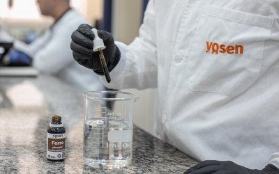 Gestação exige atenção à nutrição e ao aproveitamento dos nutrientes