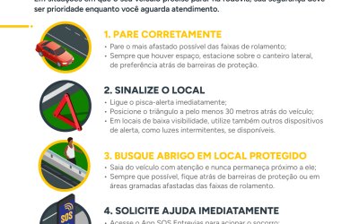 Entrevias orienta sobre os cuidados ao parar o veículo na rodovia