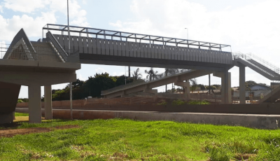 Dia do Pedestre terá ações de conscientização em Sertãozinho e Marília