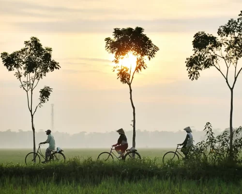 Tech Giants Unite for Sustainability