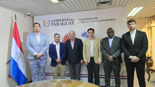Comitiva de empresários de São Paulo e Minas Gerais finaliza agenda no Paraguai balanço é positivo para novos negócios