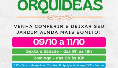 Exposição de Orquídeas reúne espécies e oficina de cultivo em Sertãozinho