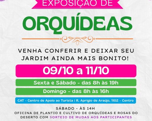 Exposição de Orquídeas reúne espécies e oficina de cultivo em Sertãozinho